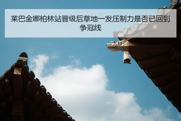 lai-ba-jin-na-bo-lin-zhan-jin-ji-hou-cao-di-yi-fa-ya-zhi-li-shi-fou-yi-hui-dao-zheng-guan-xian-2-453.jpg