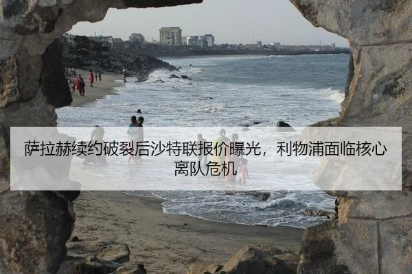 sa-la-he-xu-yue-po-lie-hou-sha-te-lian-bao-jia-bao-guang-li-wu-pu-mian-lin-he-xin-li-dui-wei-ji-3-353.jpg