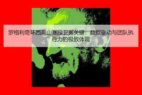 luo-ge-li-qi-huan-xi-gao-shan-sai-duan-wei-mian-guan-jian-shu-ju-qu-dong-yu-tuan-dui-zhi-xing-li-de-ji-zhi-ti-xian-3-577.jpg